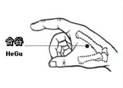 手力急救資料