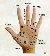 神奇的五指養生，五個手指頭的秘密，你知多少？